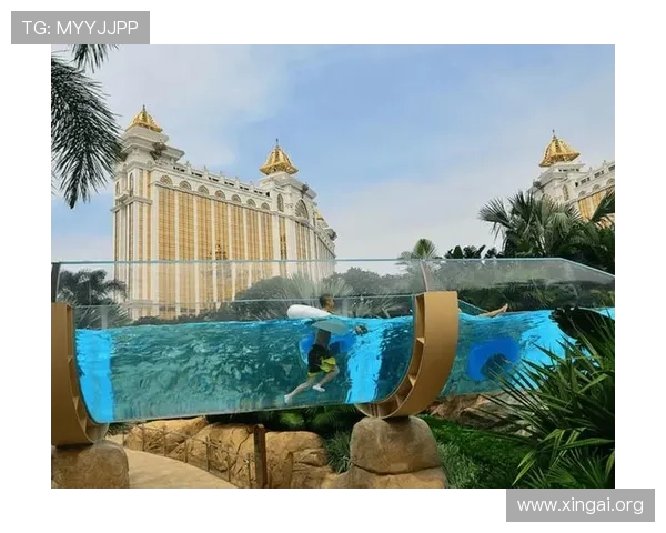 澳门银河galaxy赌场攻略指南,帮助玩家掌握最新的游戏技巧与赢取丰厚奖金的方法 澳门银河galaxy赌场攻略指南,帮助玩家掌握最新的游戏技巧与赢取丰厚奖金的方法