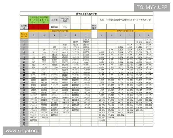 一肖一码最新2024年最全解析,揭秘中奖概率与投注技巧
