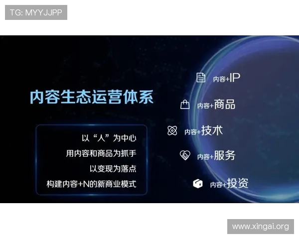 如何通过优化运营策略提升银河嘉佩乐的营收表现与市场竞争力 如何通过优化运营策略提升银河嘉佩乐的营收表现与市场竞争力