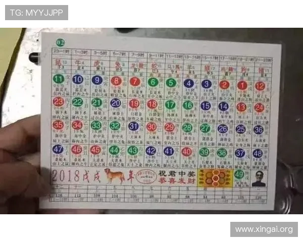 掌握六合彩在线投注技巧，提升中奖几率的实用攻略指南