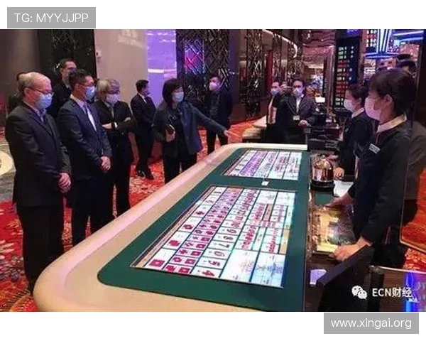 澳门美高美赌场娱乐体验全攻略，带你领略奢华豪赌的极致享受
