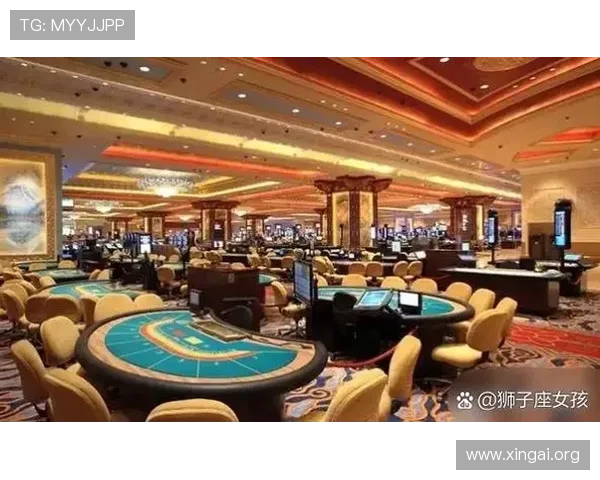 澳门赌场排名2022最新全面分析,助你轻松选择最优赌场体验